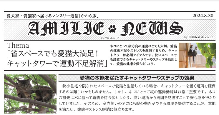 【かわら版2024年8月】省スペースでも愛猫大満足！キャットタワーで運動不足解消